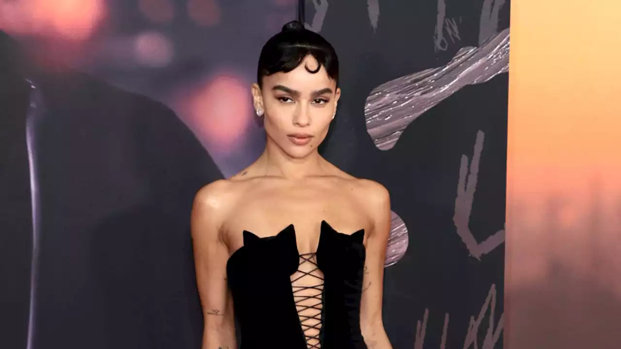 Zoë Kravitz Wore a Cat-Silhouette Corset Dress and We Are Overwhelmed