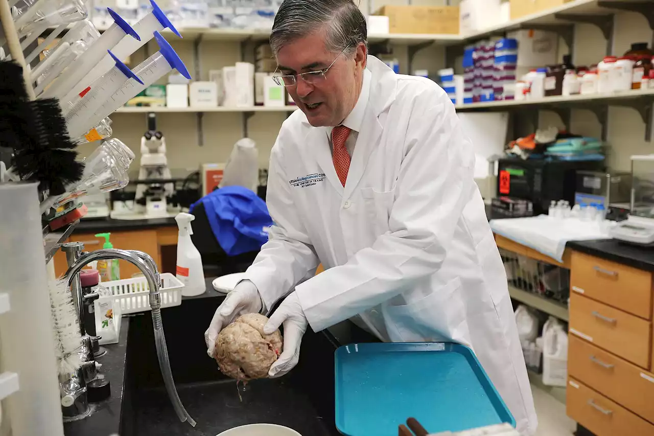 Alzheimer’s diagnoses are increasing in Harris County. This tour aims to educate caregivers and public.