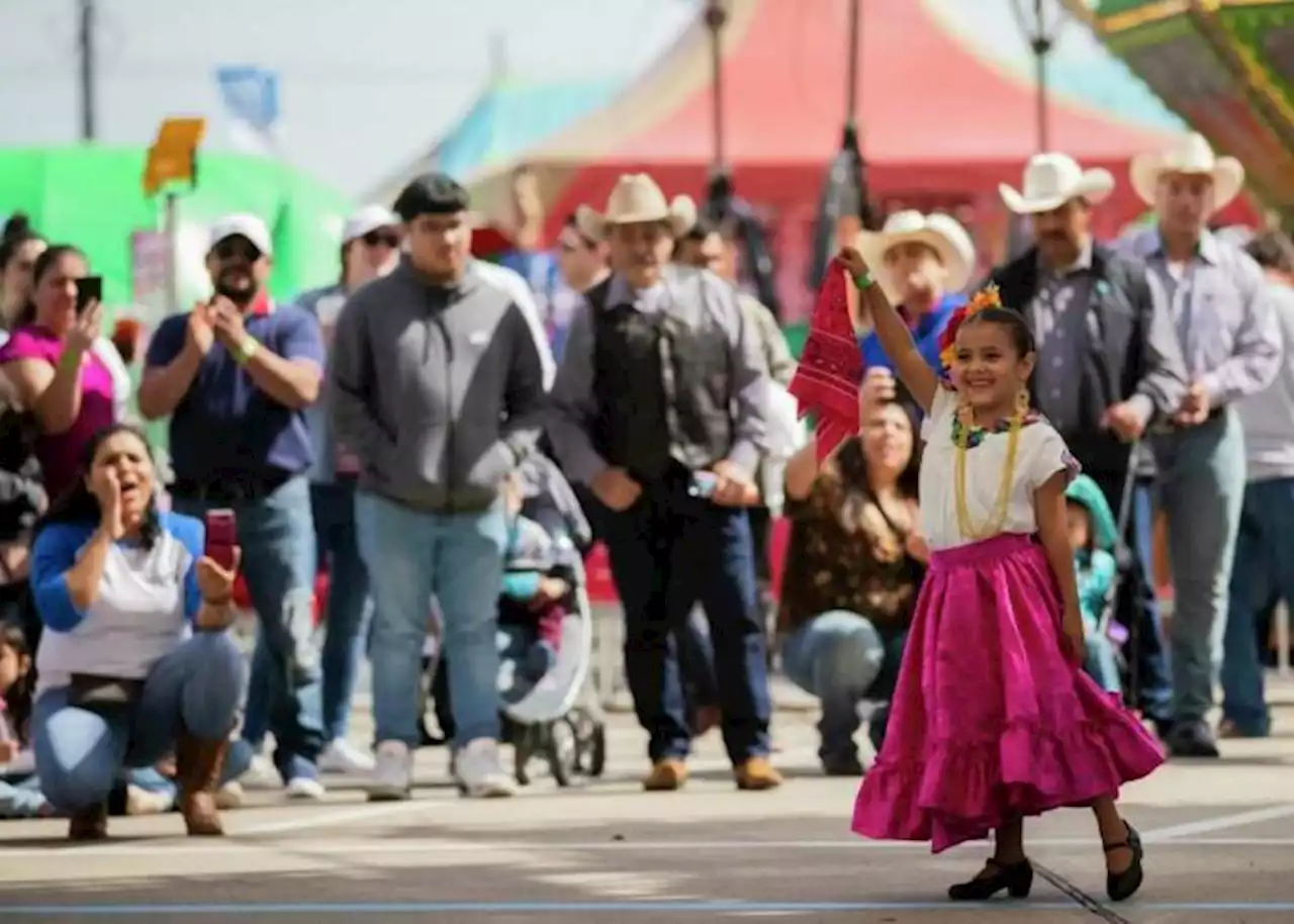 Go Tejano Day, Porsche Car Show top family fun picks