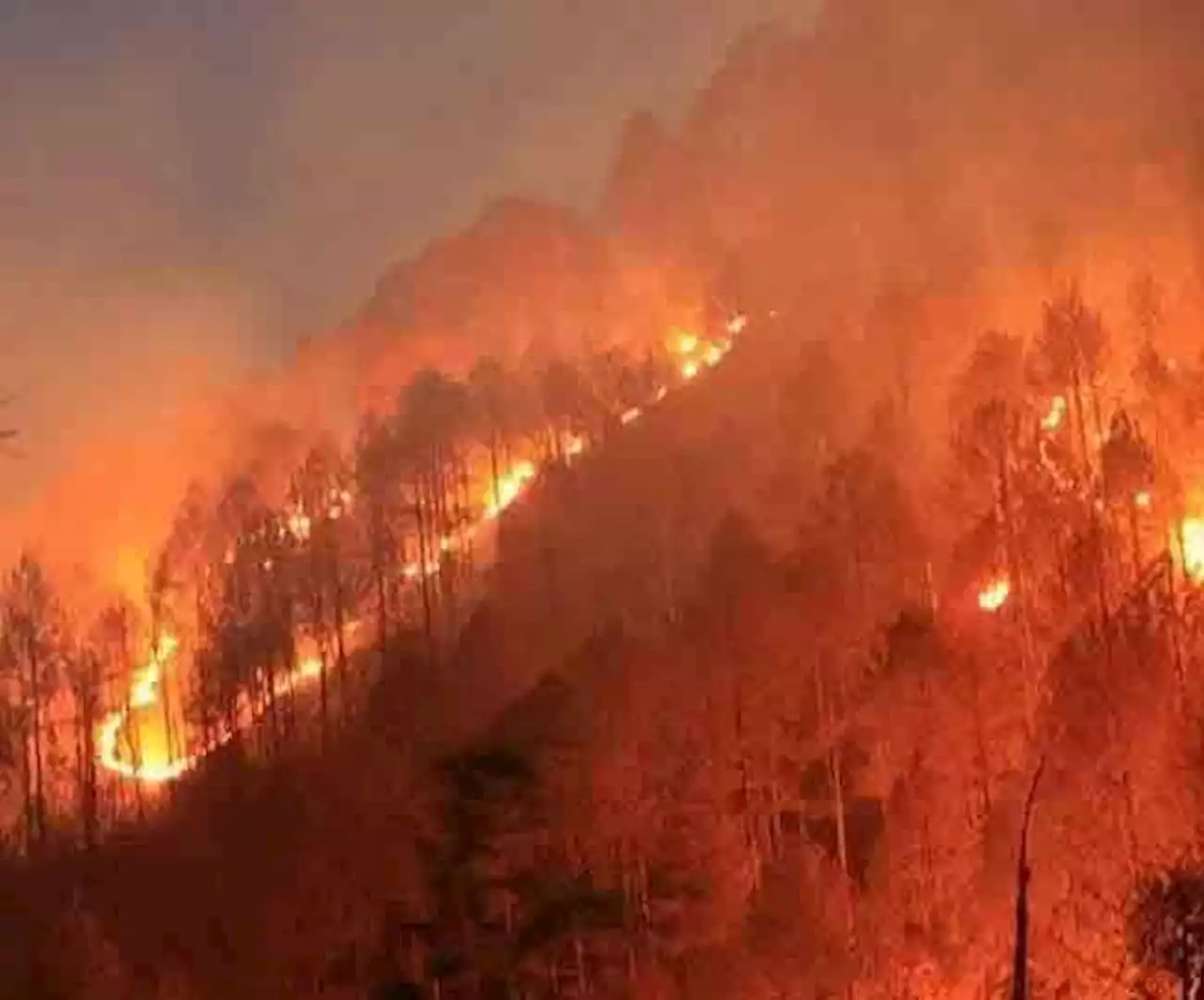 उत्‍तराखंड में जंगल की आग भी बड़ी चुनौती, पिछले 12 वर्षों में हुई इतनी घटनाएं