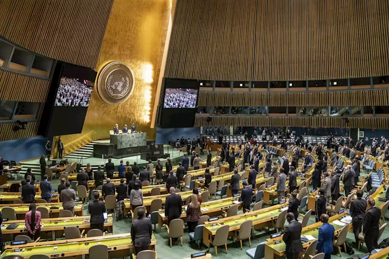 Guerra Rusia-Ucrania: la Argentina condenó la “invasión” ante la Asamblea de la ONU