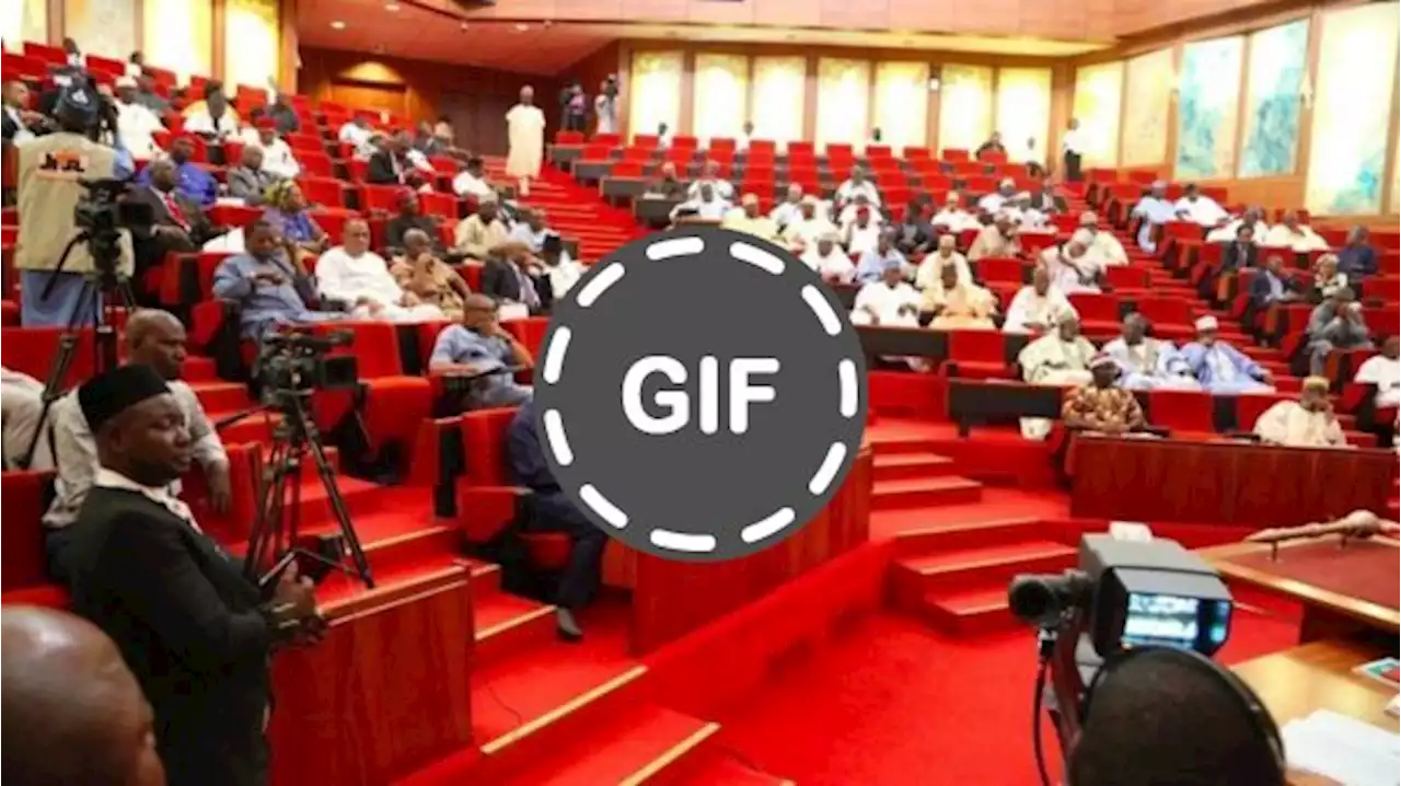 Bill To Amend 2022 Appropriation Act Scales Second Reading In Senate
