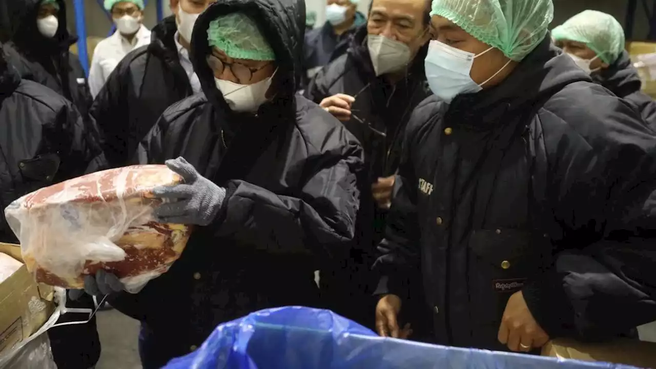 Mentan SYL Pastikan Pasokan Daging Sapi Aman saat Mengunjungi Cold Storage di Jakarta Timur