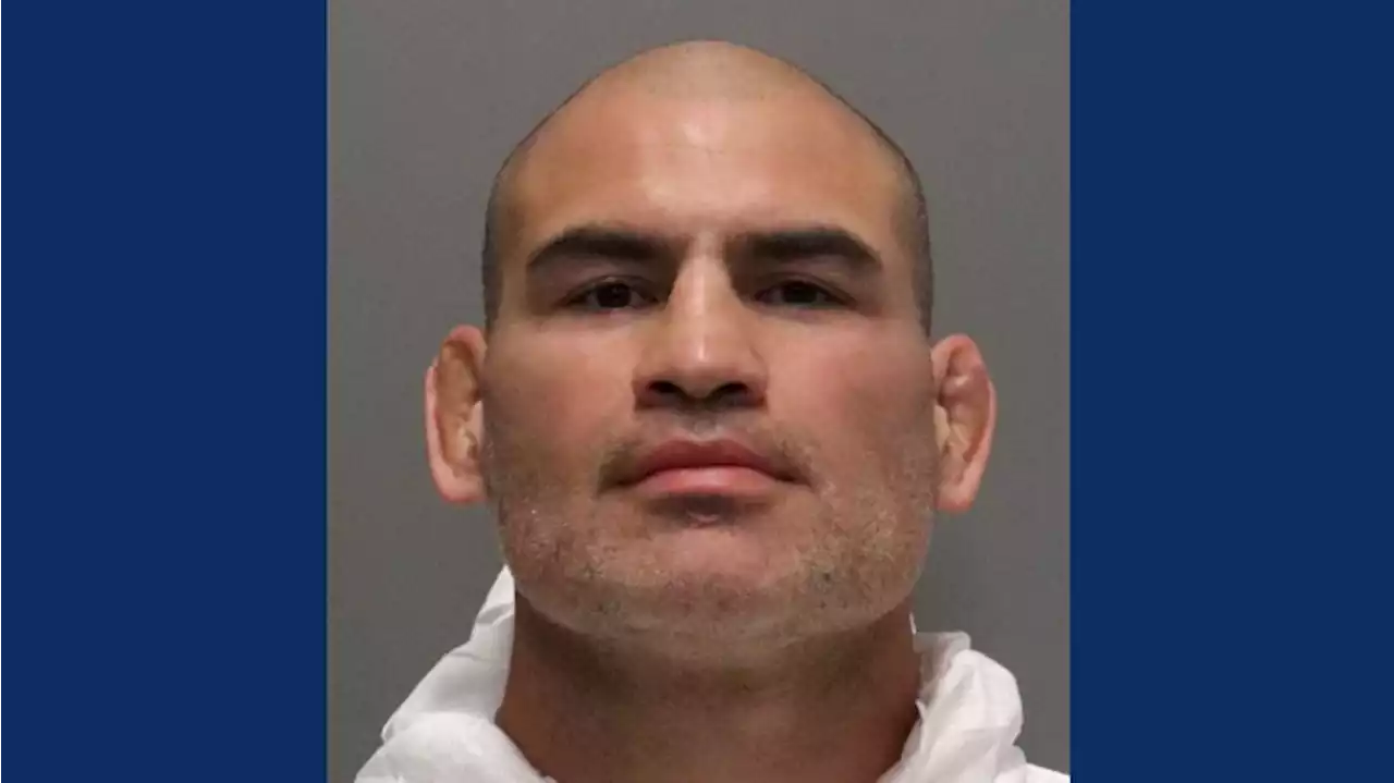 Cain Velasquez May Have Been Trying to Shoot Man Accused of Abusing Family Member: Sources