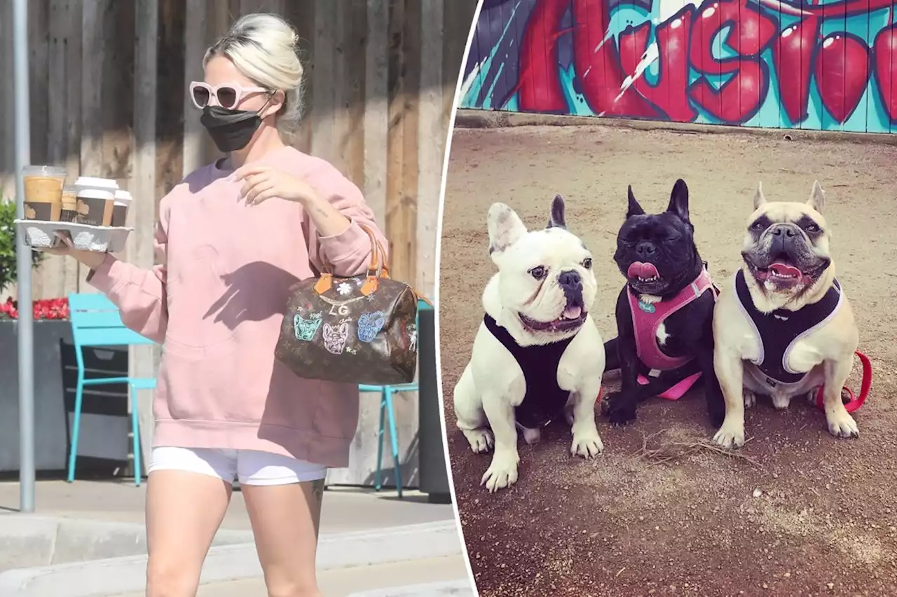 Lady Gaga totes around famous French bulldogs with custom purse