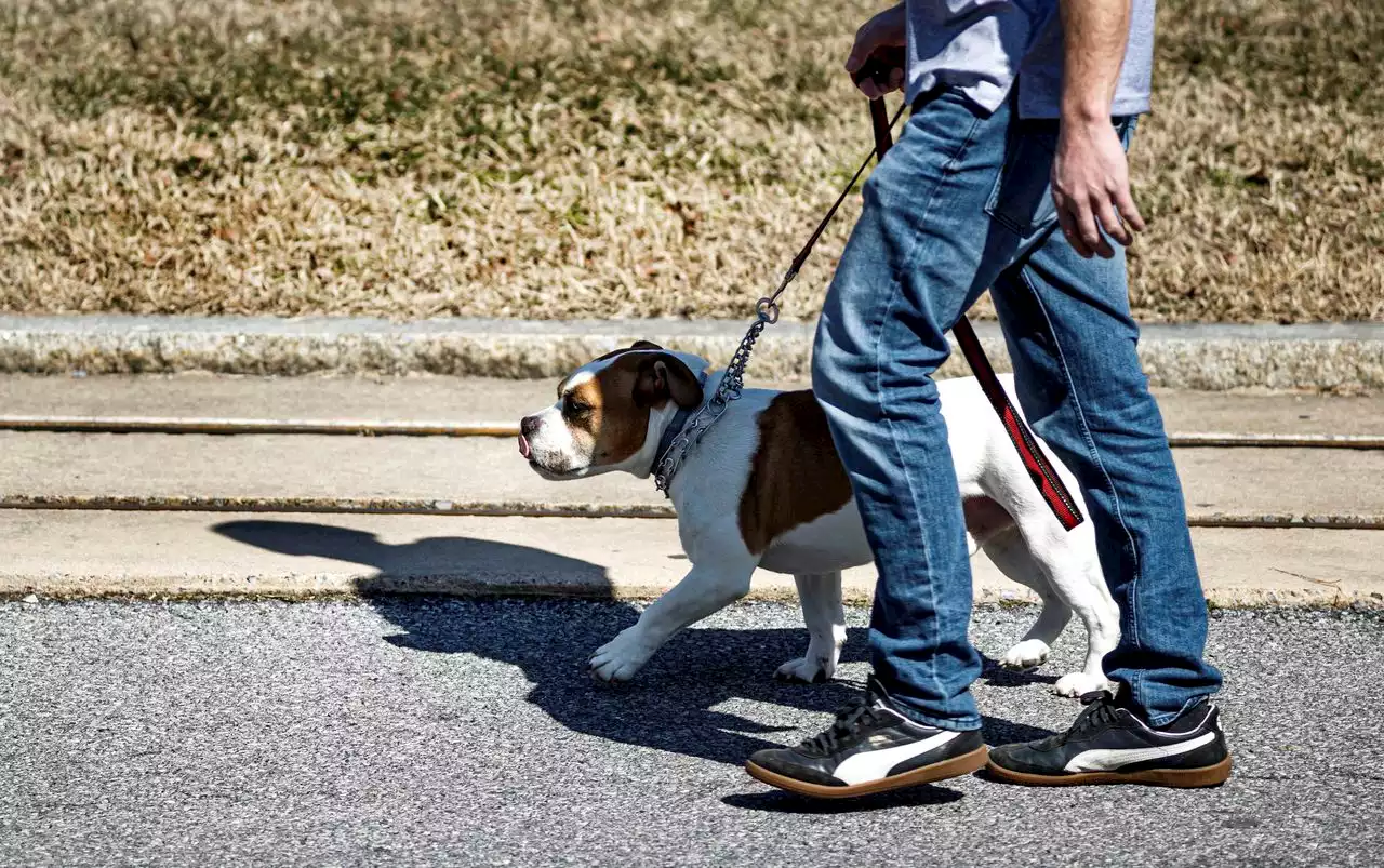 Refreshingly warm weather rolls into central Pa. weeks before start of spring