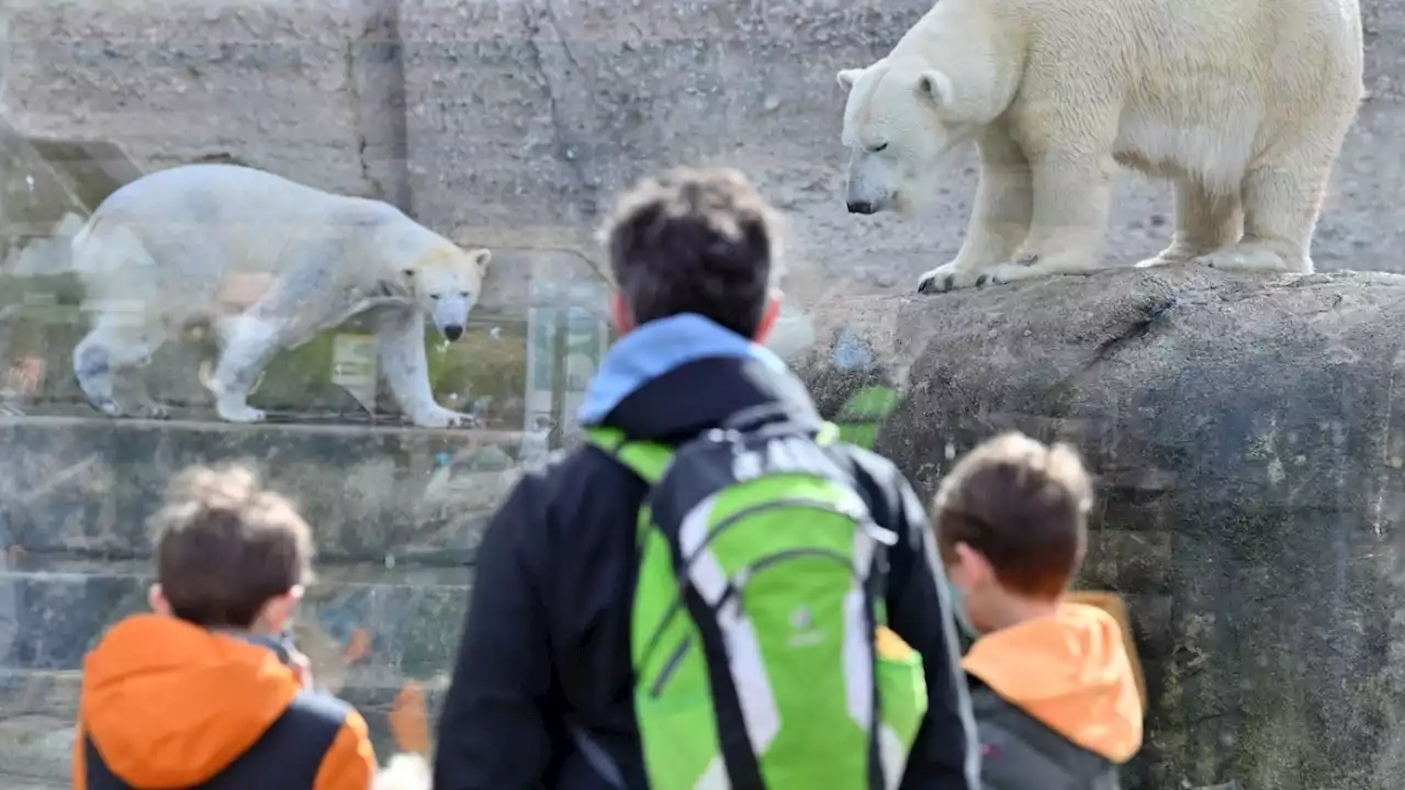 München: Längere Anreisezeit für Tierparkbesucher