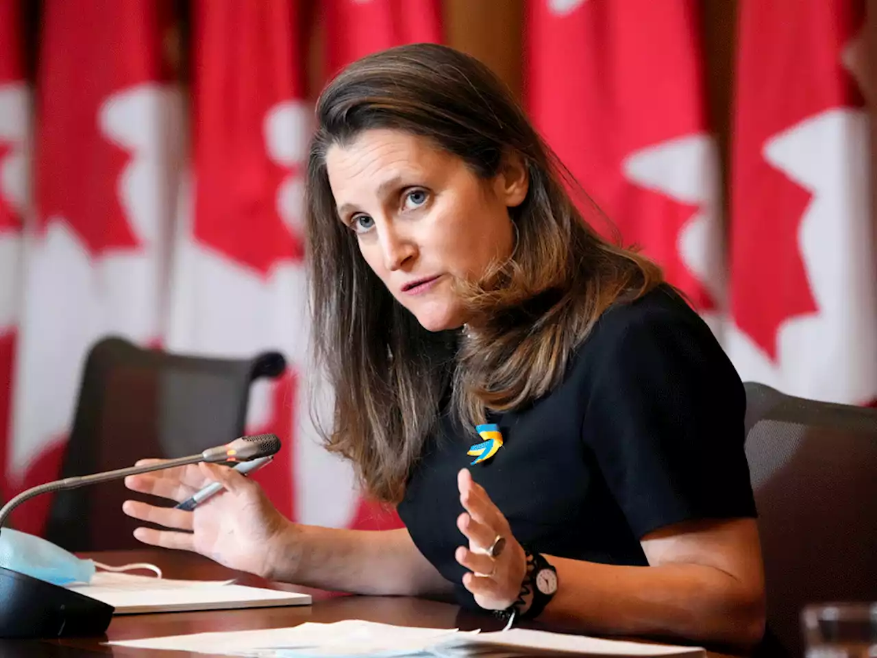 Canada promises $100M in humanitarian aid for Ukraine, along with more body armour and ready to eat meals