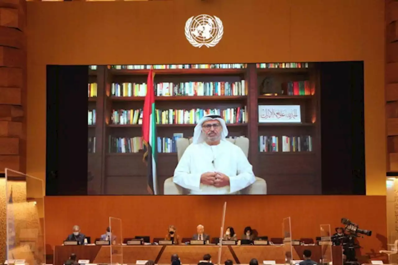 قرقاش يستعرض إنجازات دولة الإمارات أمام مجلس حقوق الإنسان