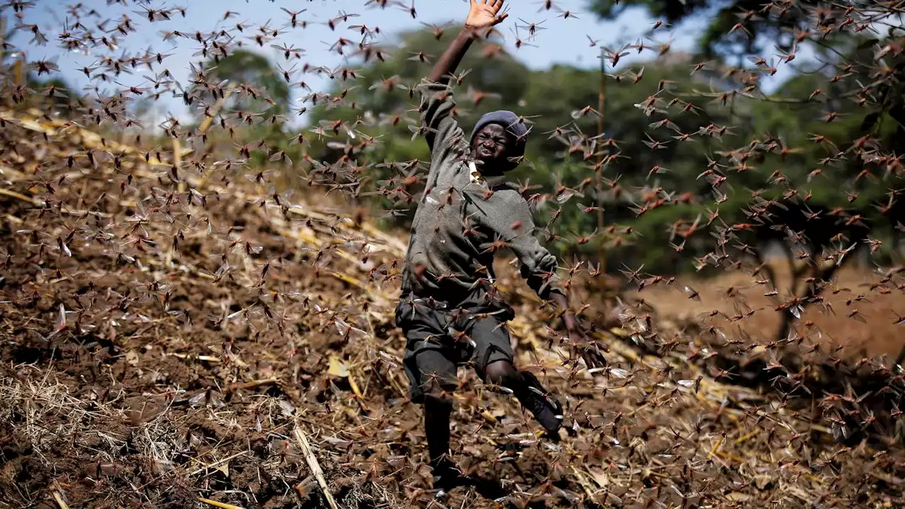 UN: Africa, already suffering from warming, will see worse