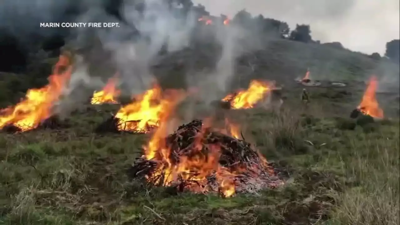 Bay Area firefighters prepare for early wildfire season amid approaching heat wave