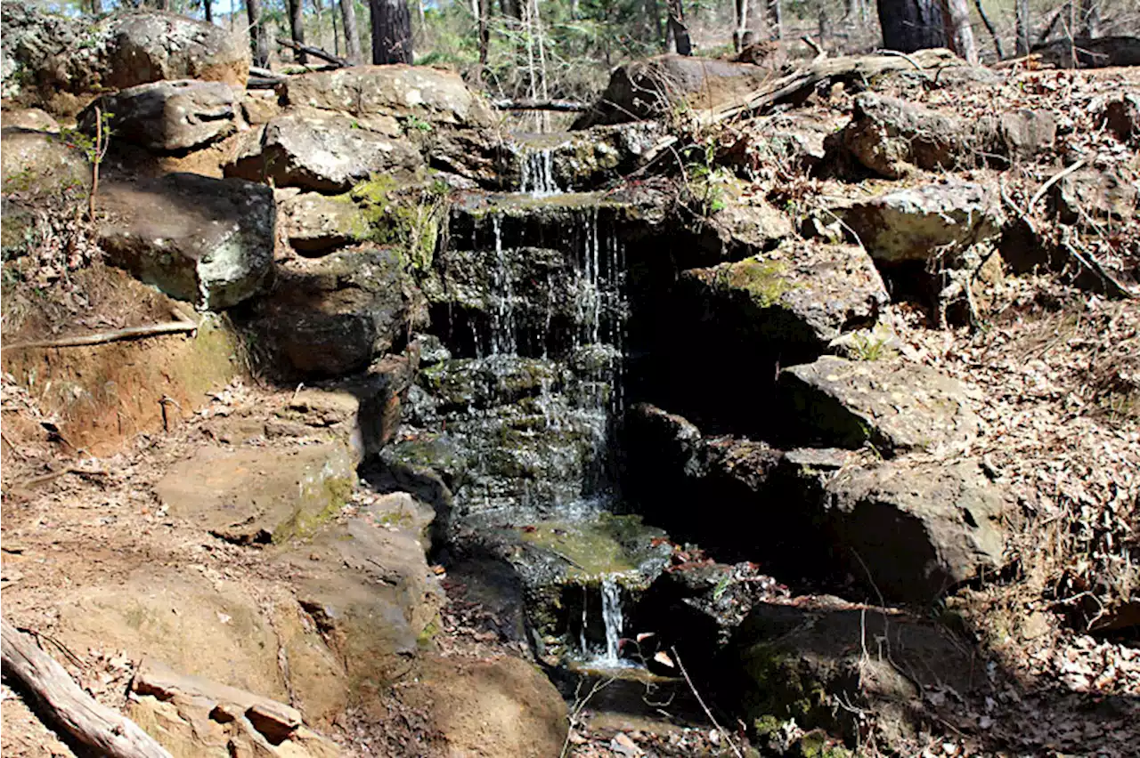 Day Trips: Tyler State Park, Tyler