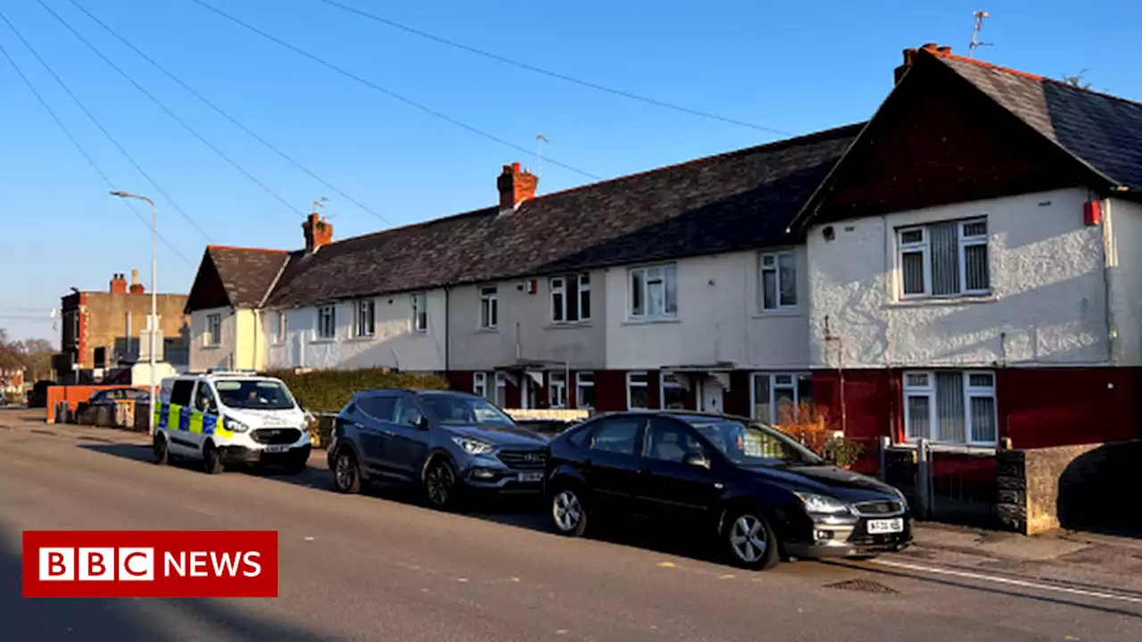 Cardiff: Woman arrested after stabbing reports