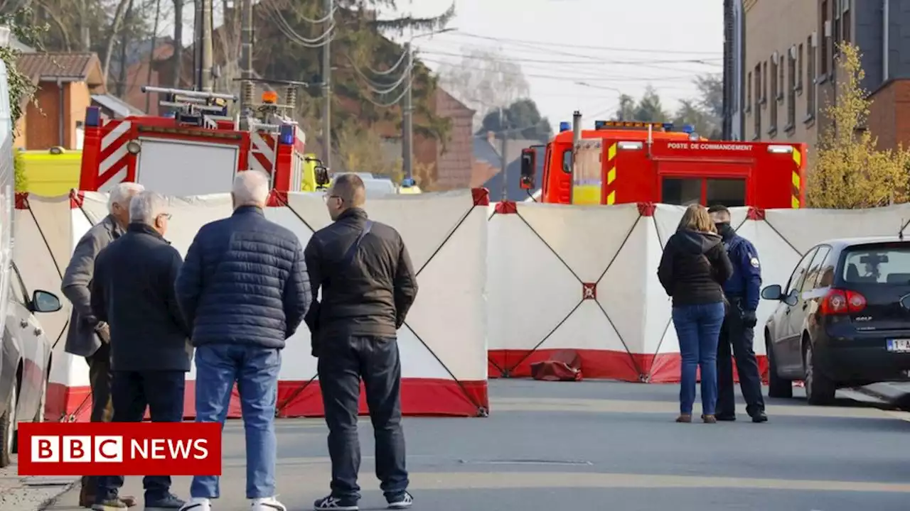 Six killed after car drives into crowd in Belgium