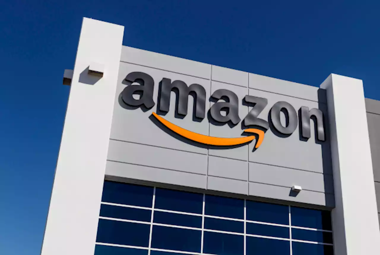 South African court suspends building at new Amazon Africa site