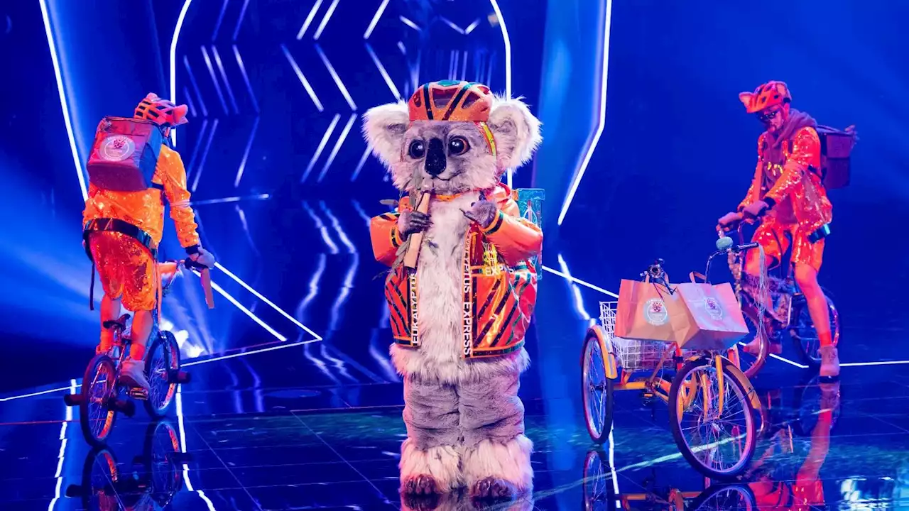 „The Masked Singer“ soll als Show durch Deutschland touren