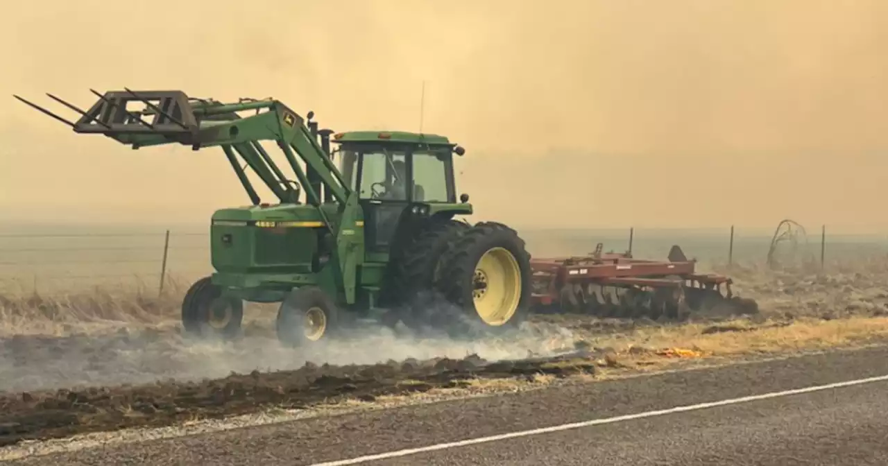 Sheriff's deputy killed, at least 50 homes destroyed in Texas wildfires