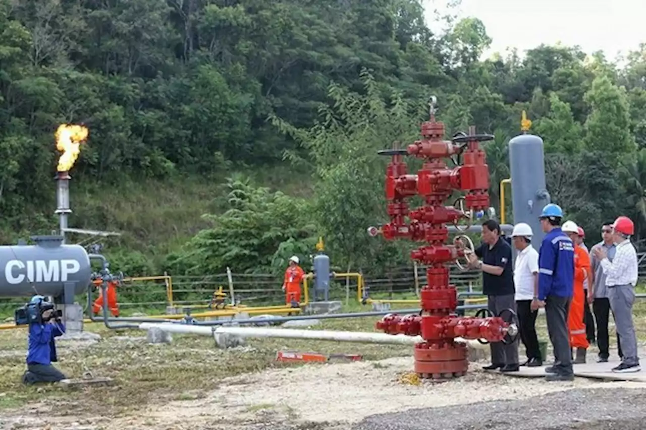 Work to resume on Alegria oil field