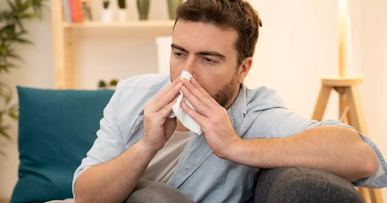 Covid y gripe: qué pasará este otoño con las enfermedades respiratorias