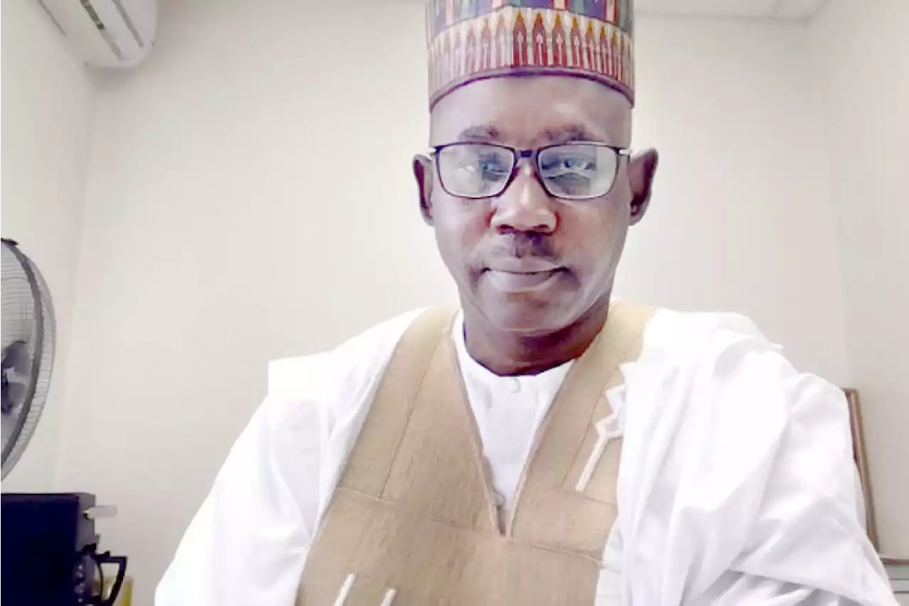 How Nigerian institutions can explore alternative funding sources – Liman