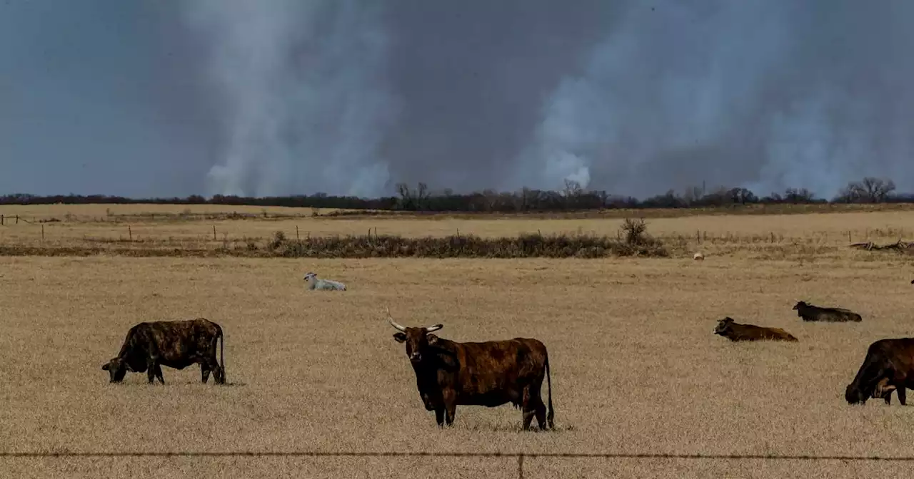 Eastland County residents urged to evacuate over ‘fast-growing’ wildfire, emergency crews say