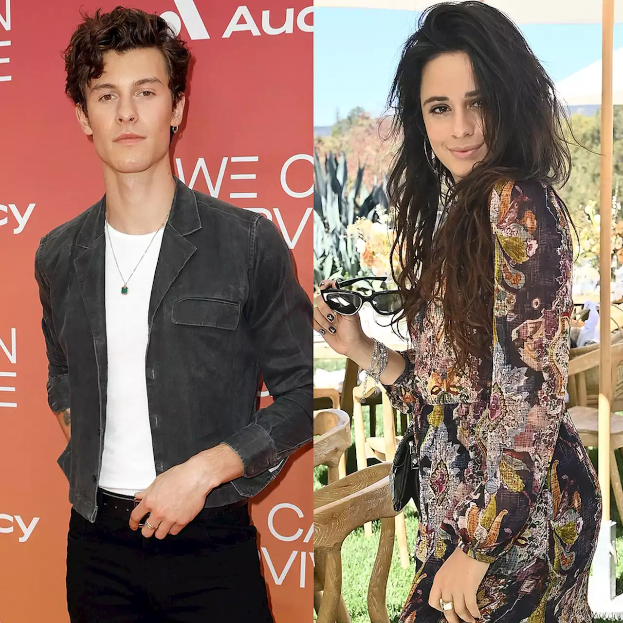 Shawn Mendes Reflects on His 'Reality' After Camila Cabello Breakup - E! Online