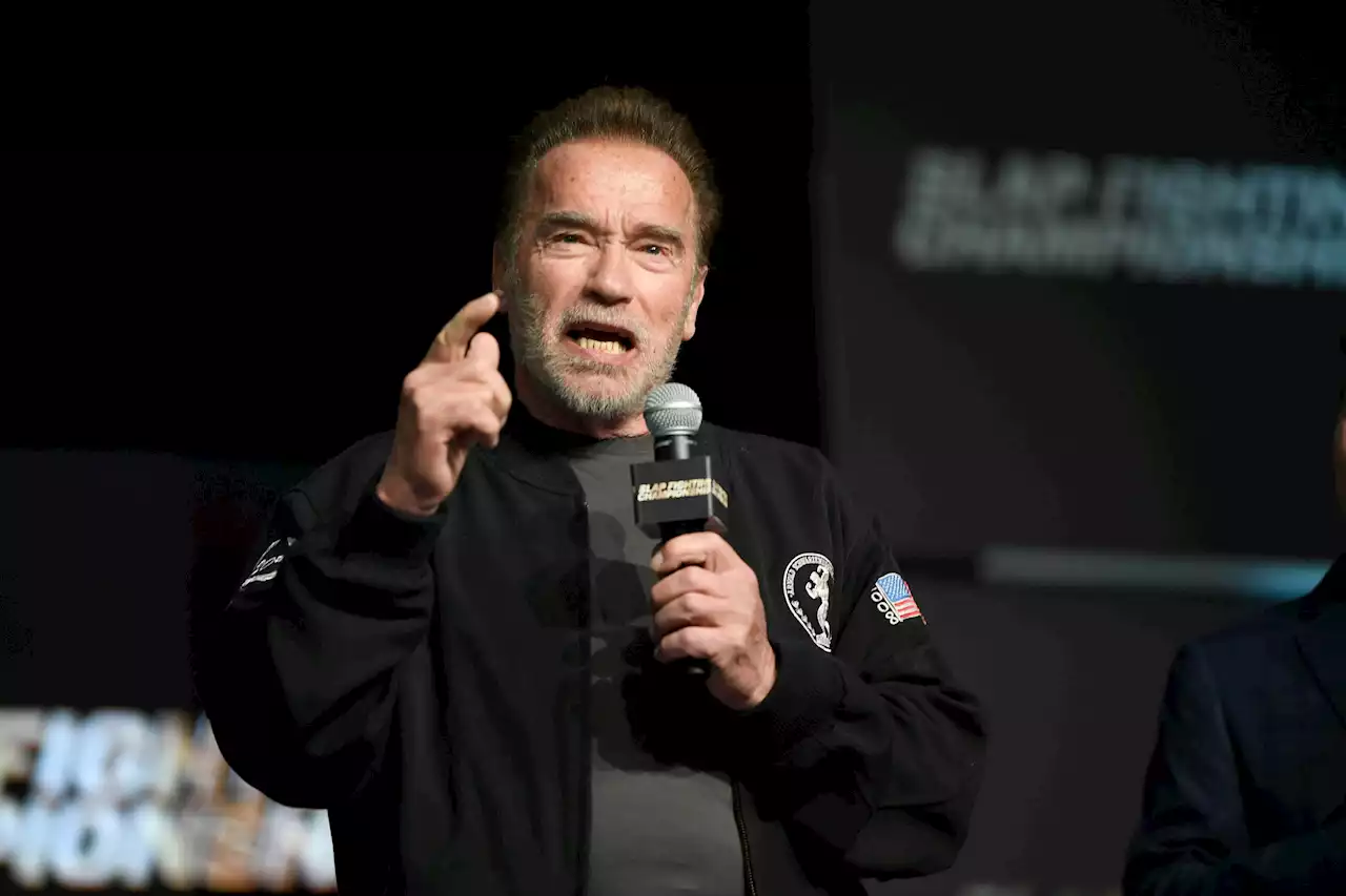 Schwarzenegger Devotes 60% Of His Viral Video To Storytelling