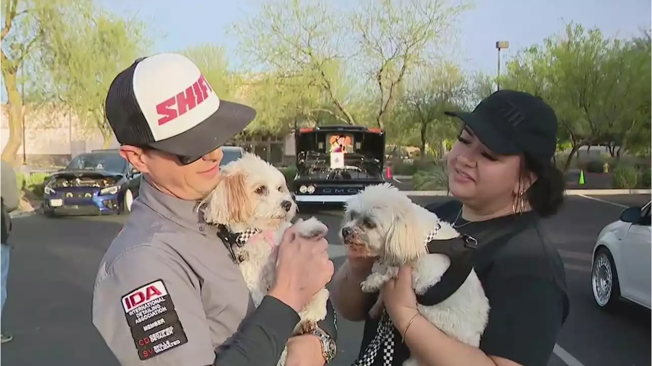 Mesa Cars & Coffee event raises money for Follow Your Heart Animal Rescue