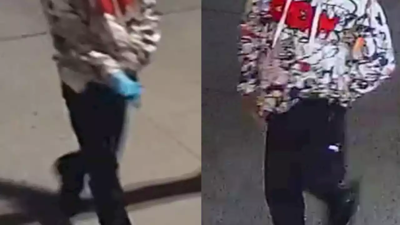 Woman in critical condition after Harlem rape attempt: NYPD