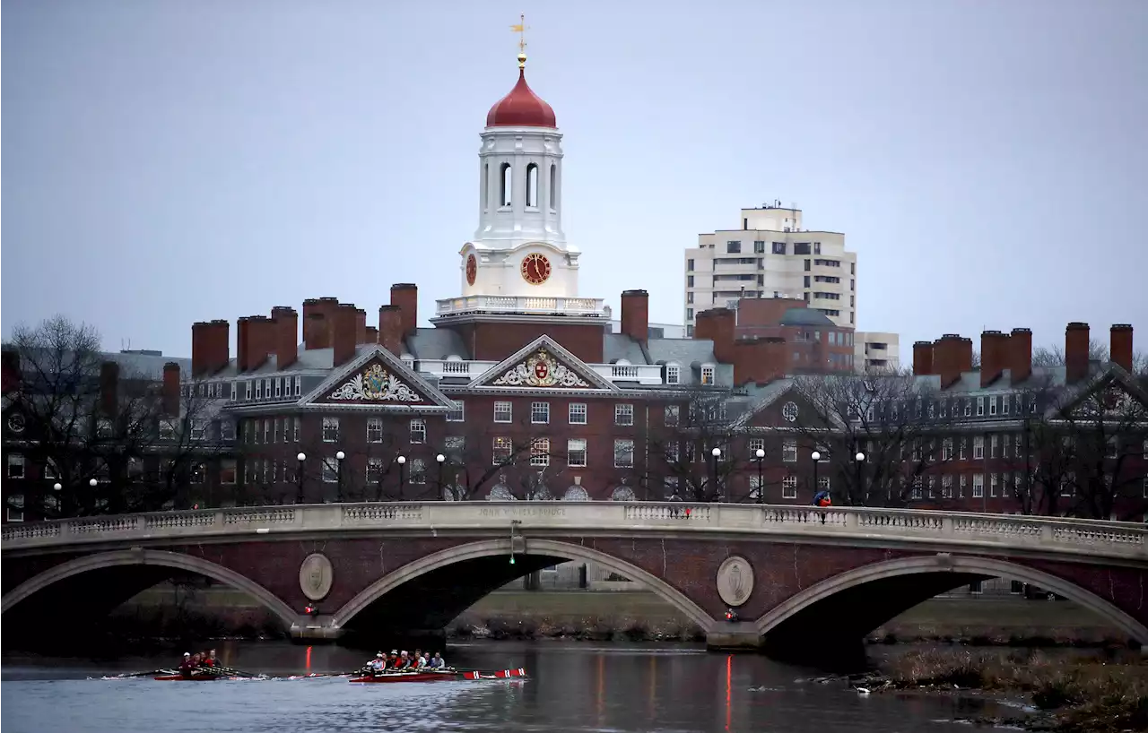 Harvard closes police station due to students' feeling 'watched and policed': 'not a pleasant feeling'