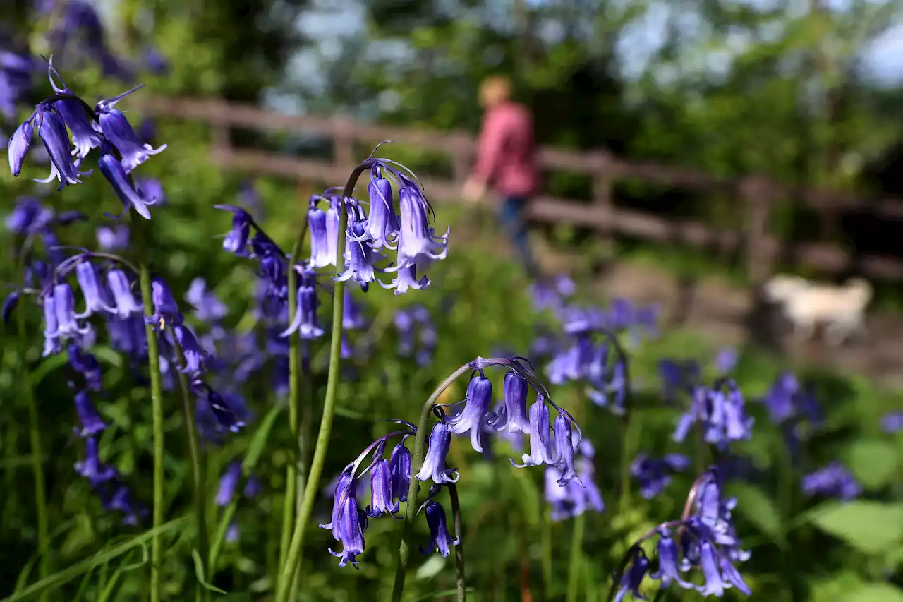 Parts of UK reach 20C as Saturday marks warmest day of the year