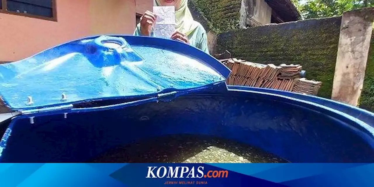 Rawan Minyak Goreng Palsu, Ini Cara Membedakan Minyak Goreng Asli dan Palsu