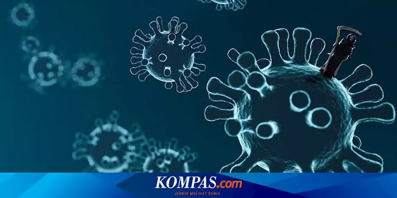 UPDATE 20 Maret: 122.064 Spesimen Diperiksa dalam Sehari, 'Positivity Rate' dengan PCR 17,39 Persen