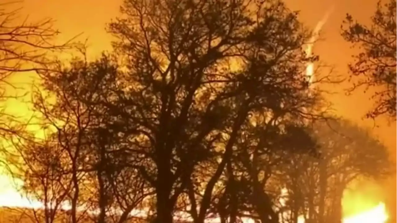 Firefighters gain ground on Texas wildfires on Saturday