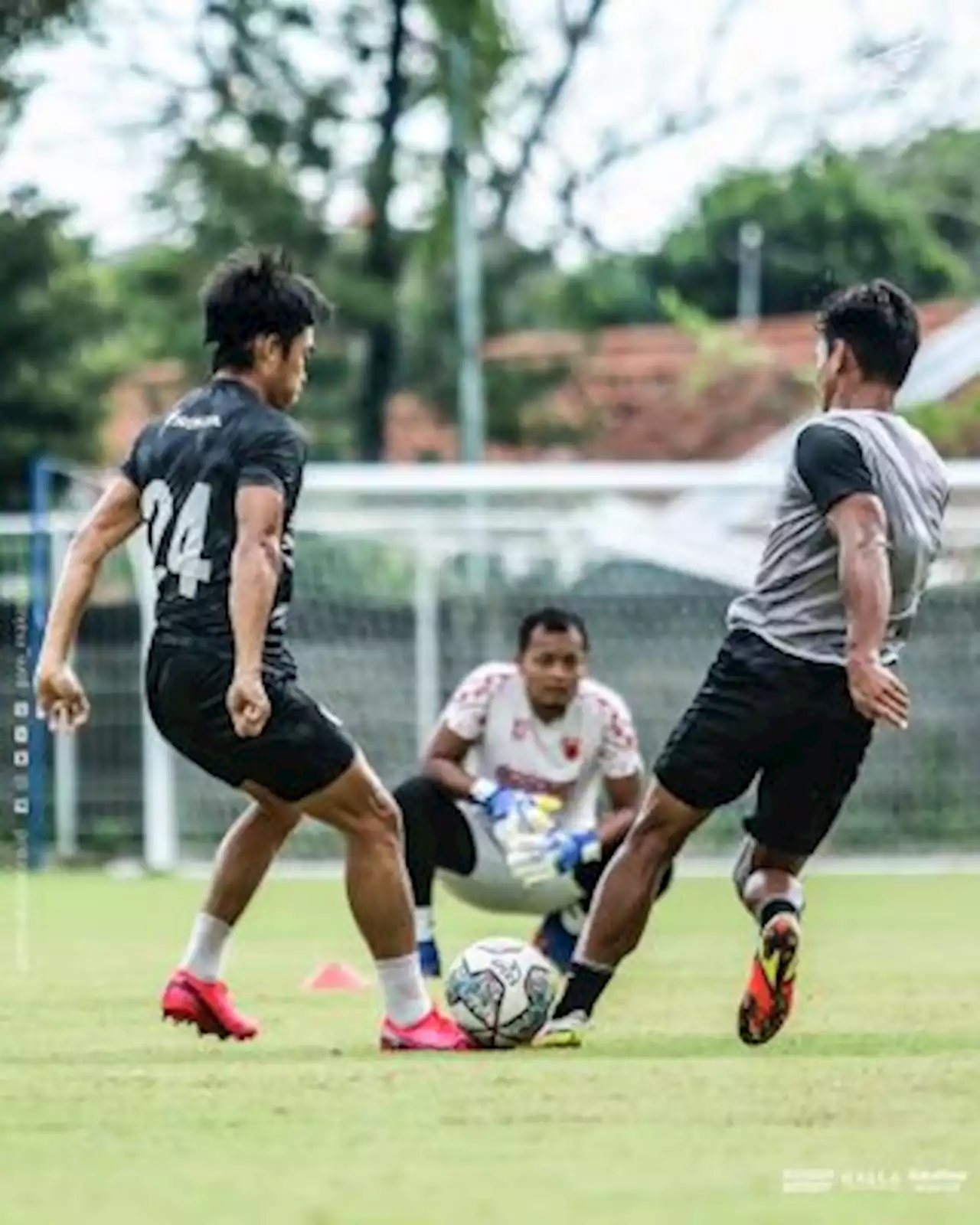 PSM Incar Persija Demi Bertahan di Liga 1