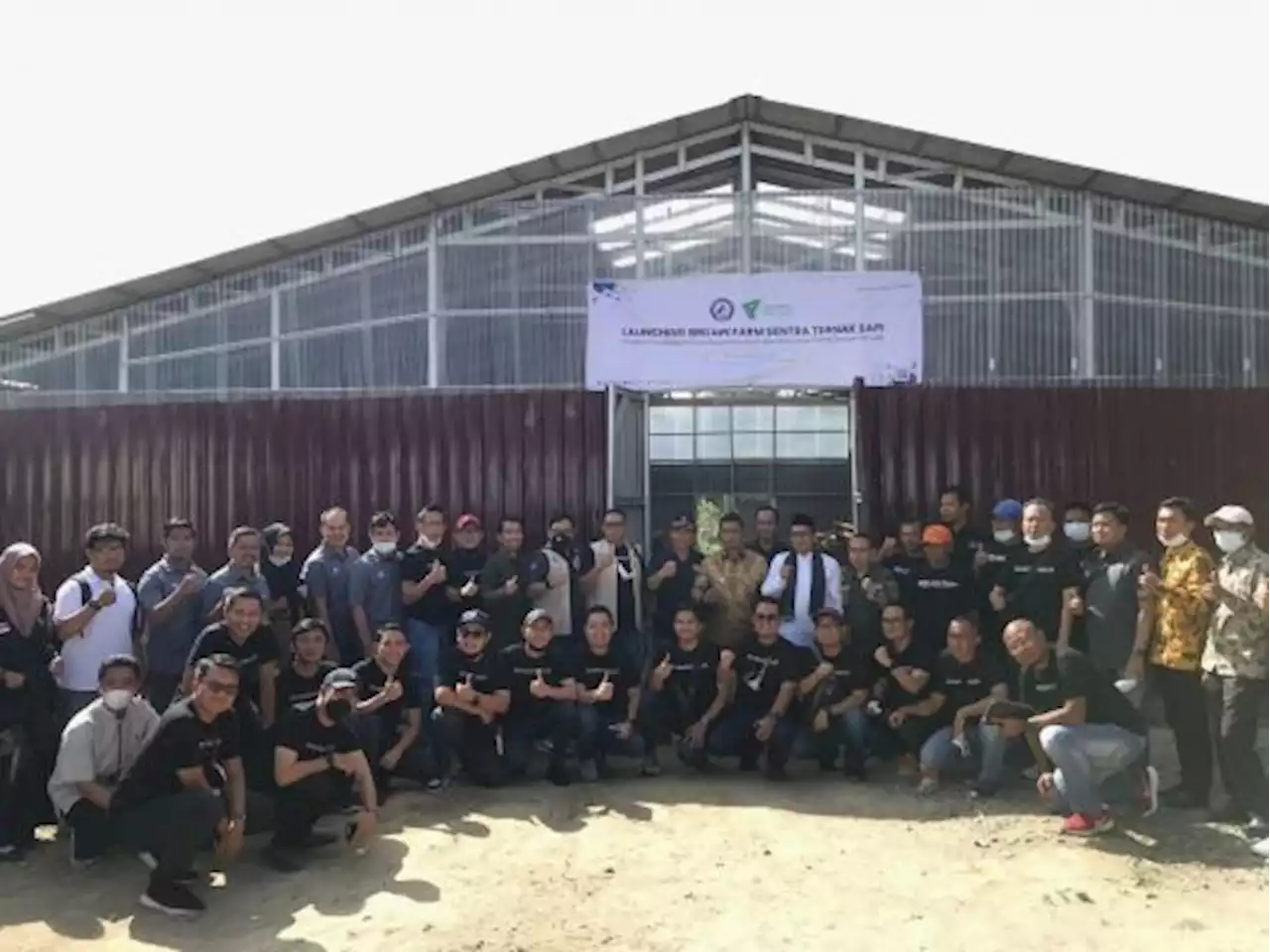 YBM BRILiaN Gagas Program Budi Daya Ternak Sapi untuk Mustahik di Solok