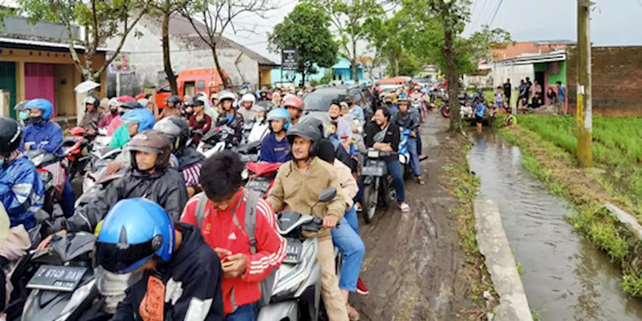 Angin Tumbangkan Pohon di Garut, Lalu Lintas ke Situ Bagendit Sempat Terhambat | merdeka.com