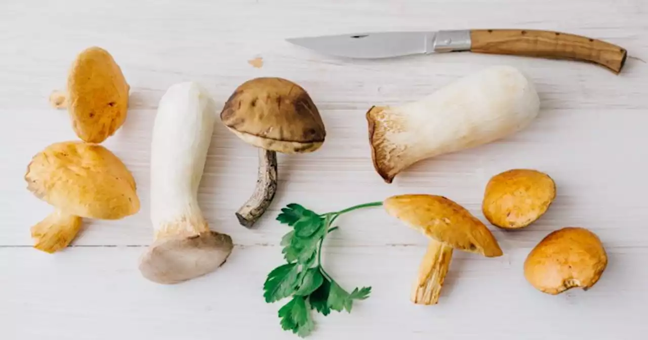 Growing Mushrooms At Home Is Easier Than You Think With Our Newbie Guide