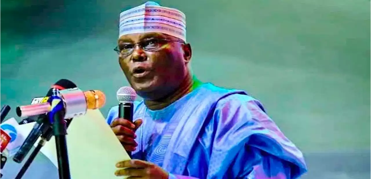 We haven’t decided on zoning, won’t stop Atiku, others from buying forms – PDP - Punch Newspapers