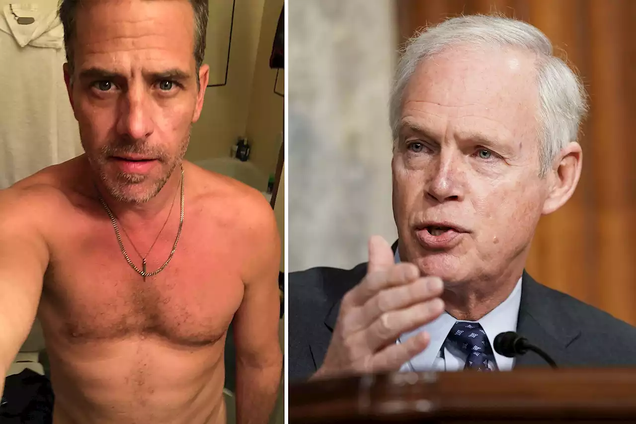 Sen. Johnson blasts NY Times, former intel experts over Hunter Biden laptop