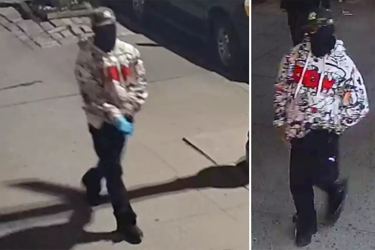 Video shows attacker don gloves before brutally beating a woman in Harlem, cops say