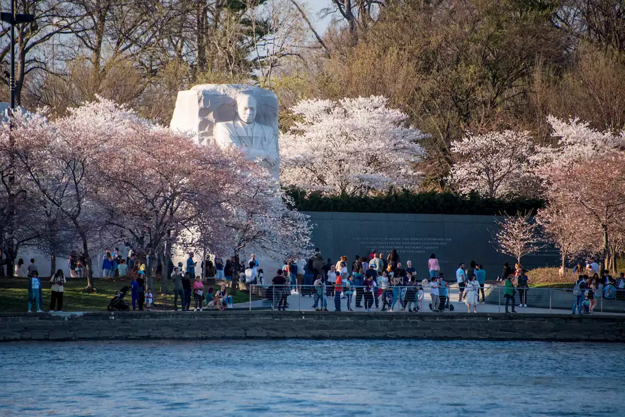 D.C.-area forecast: Cool breezes rush in for the first day of spring; brighter and warmer tomorrow