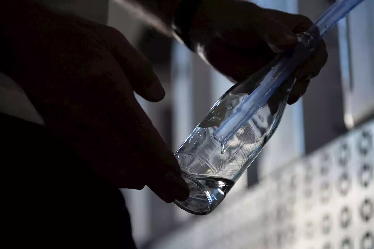 Sparkling pools, empty taps: Cape Town's stark water divide