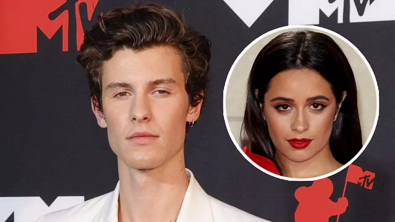 Shawn Mendes Reflects On Life After Camila Cabello Split