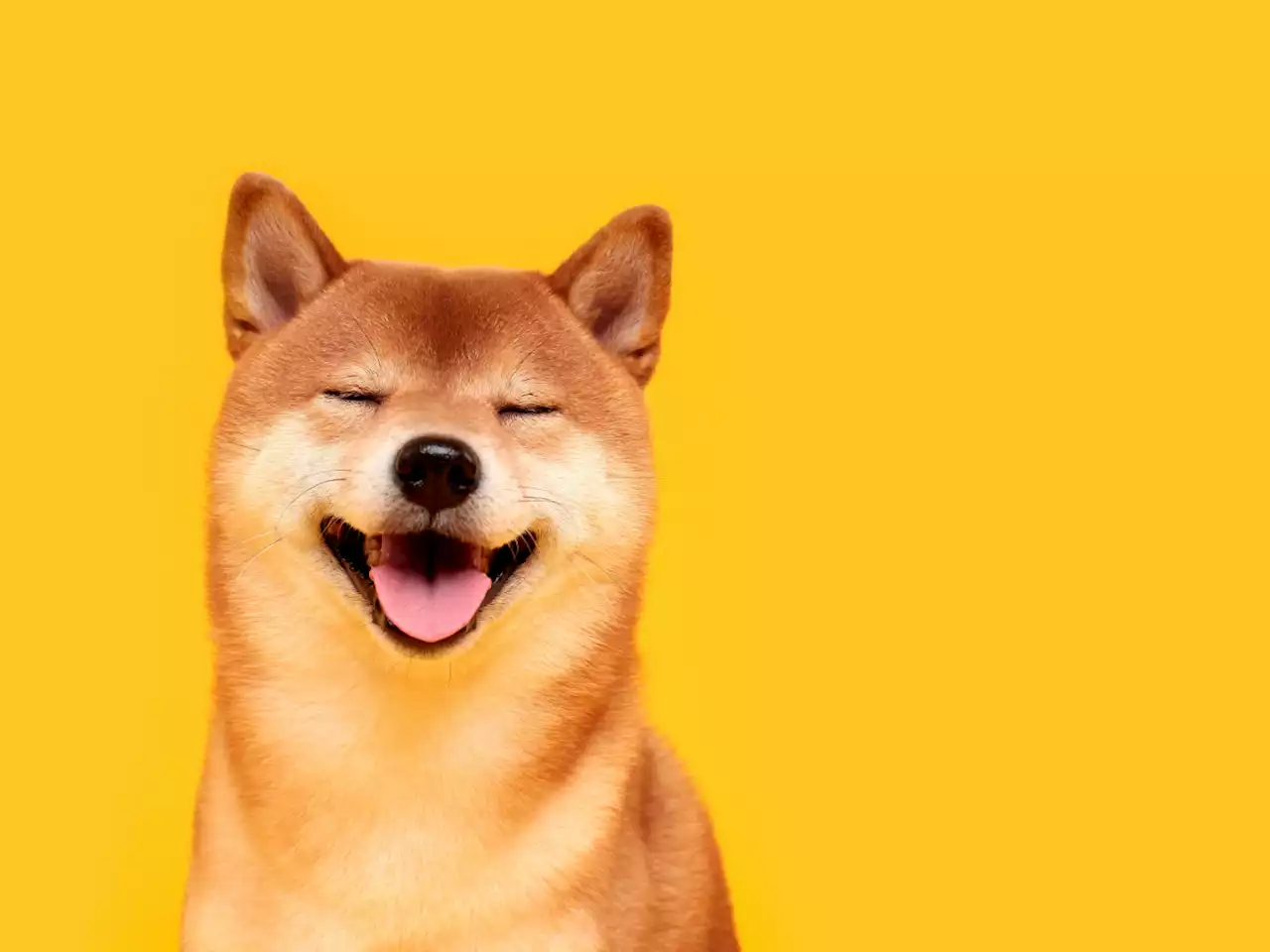 Shiba Inu Price Spikes 7%, Outperforming Other Top Coins