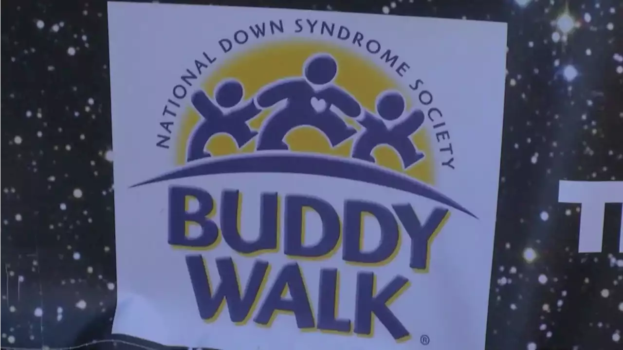 15th annual Buddy Walk returns to Dothan