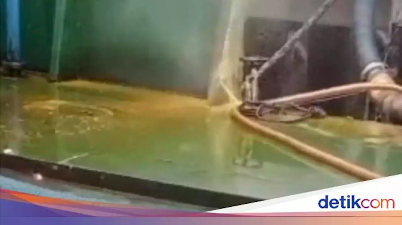 Viral Minyak Goreng Satu Kapal Tumpah ke Laut, Pengusaha Bilang Begini