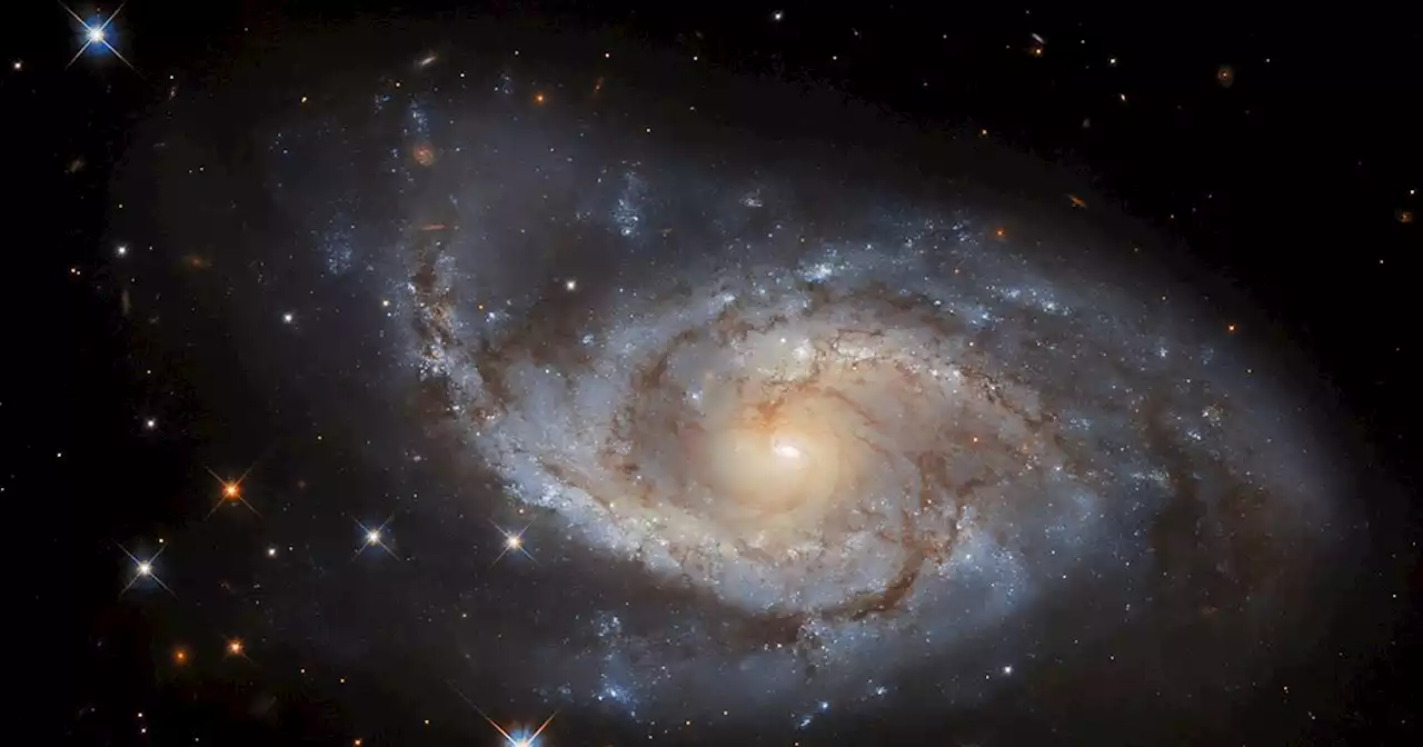 Scientists find evidence of ‘mirror universe’ next to us where time runs back
