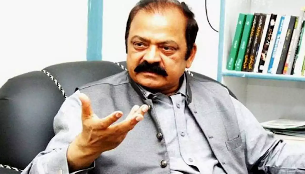 پی ٹی آئی کے منحرف ارکان پر جوش، حکومتی اتحادیوں سے بات ہوچکی، رانا ثنا اللہ