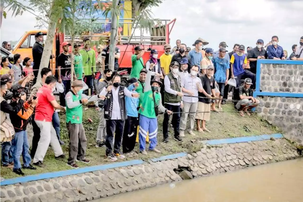 Dorong Budi Daya dan Konsumsi Ikan